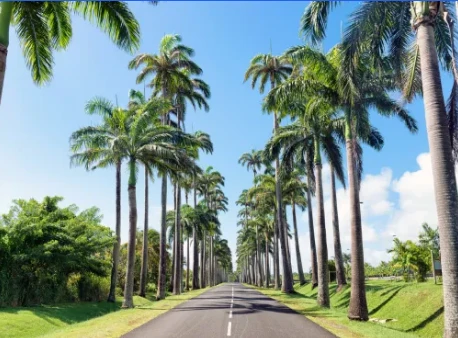 van-taxi-guadeloupe-transfert-toutes-distances